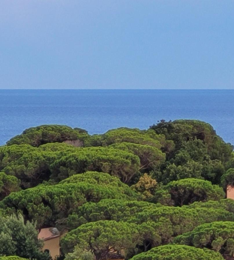 Villa Palm' Issambres 6-7 Personnes, Clim, Avec Piscine, Jardin Et Parking Prives La Garonnette-Plage Kültér fotó