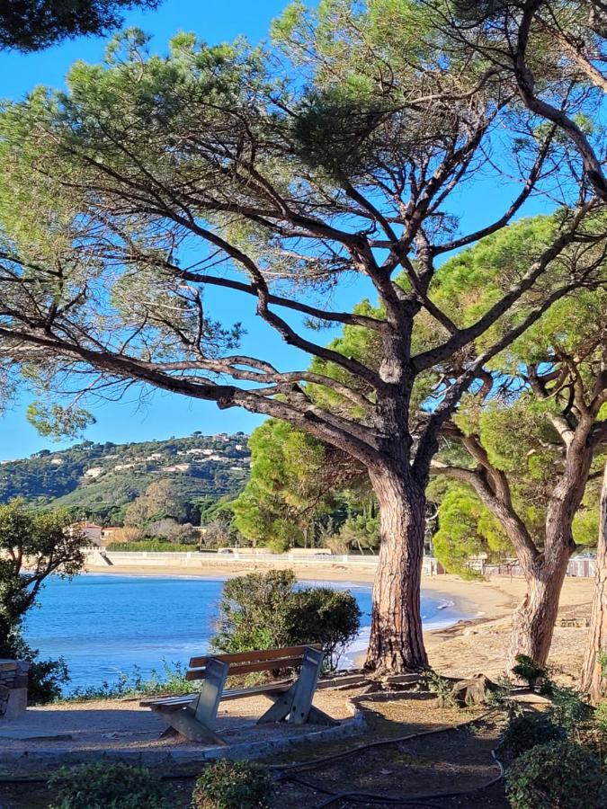 Villa Palm' Issambres 6-7 Personnes, Clim, Avec Piscine, Jardin Et Parking Prives La Garonnette-Plage Kültér fotó