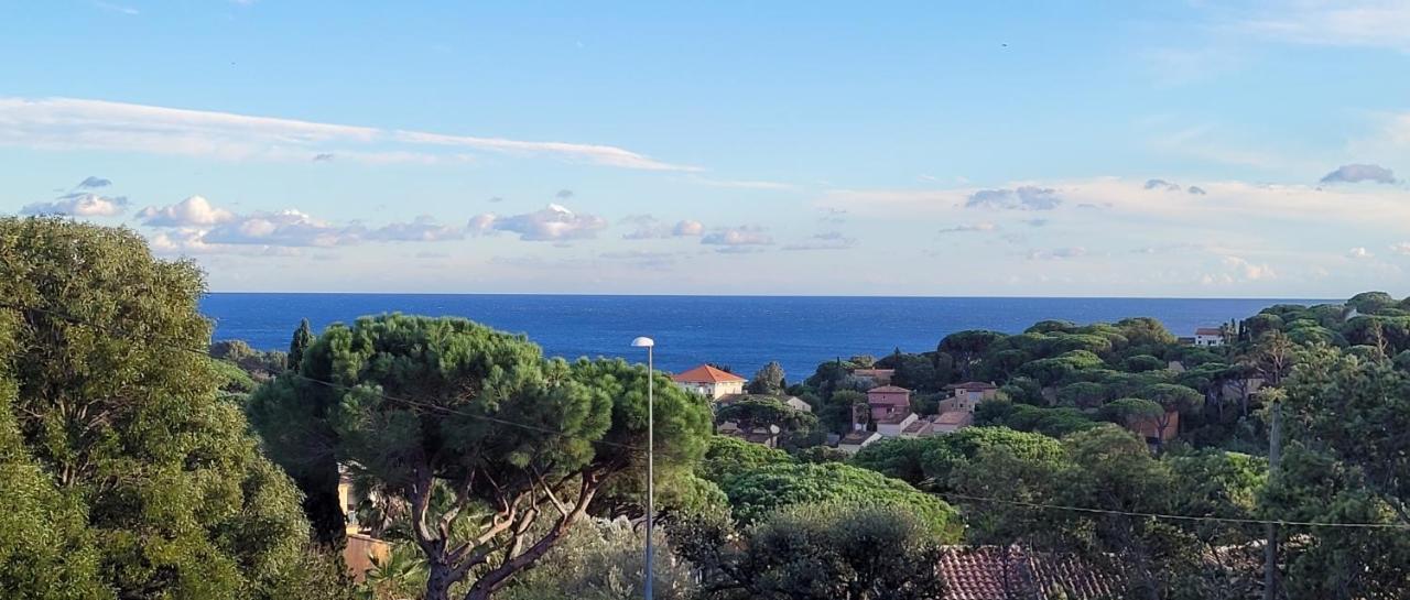 Villa Palm' Issambres 6-7 Personnes, Clim, Avec Piscine, Jardin Et Parking Prives La Garonnette-Plage Kültér fotó