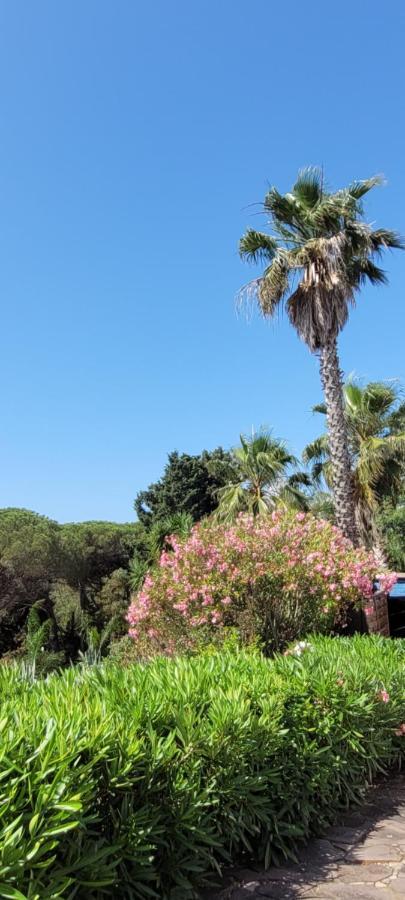 Villa Palm' Issambres 6-7 Personnes, Clim, Avec Piscine, Jardin Et Parking Prives La Garonnette-Plage Kültér fotó