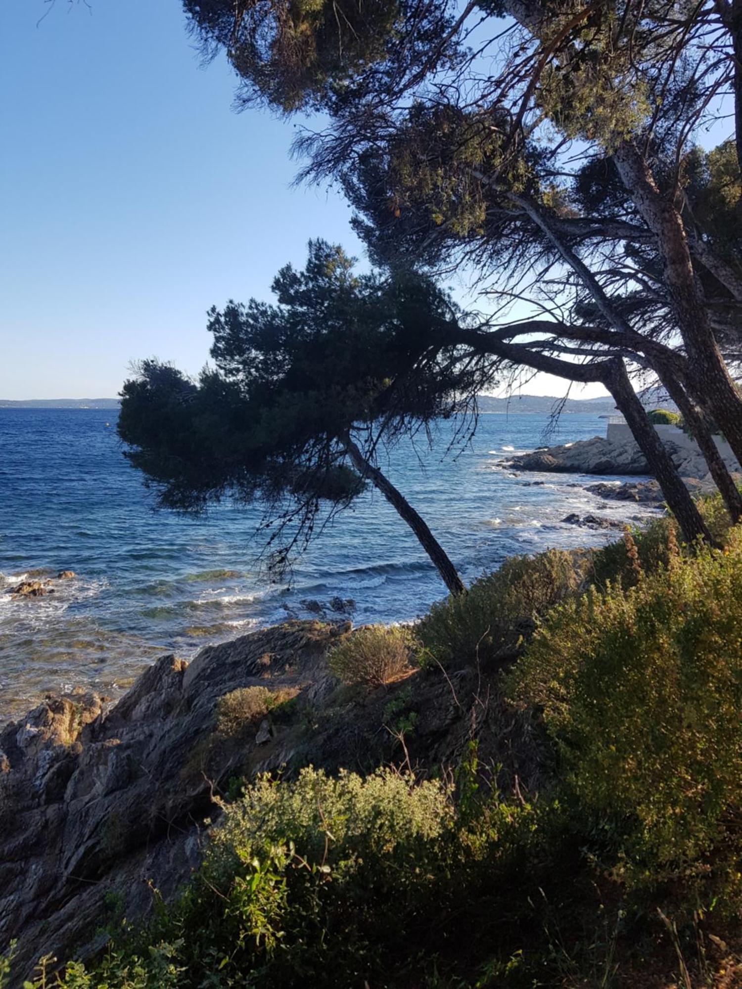 Villa Palm' Issambres 6-7 Personnes, Clim, Avec Piscine, Jardin Et Parking Prives La Garonnette-Plage Kültér fotó