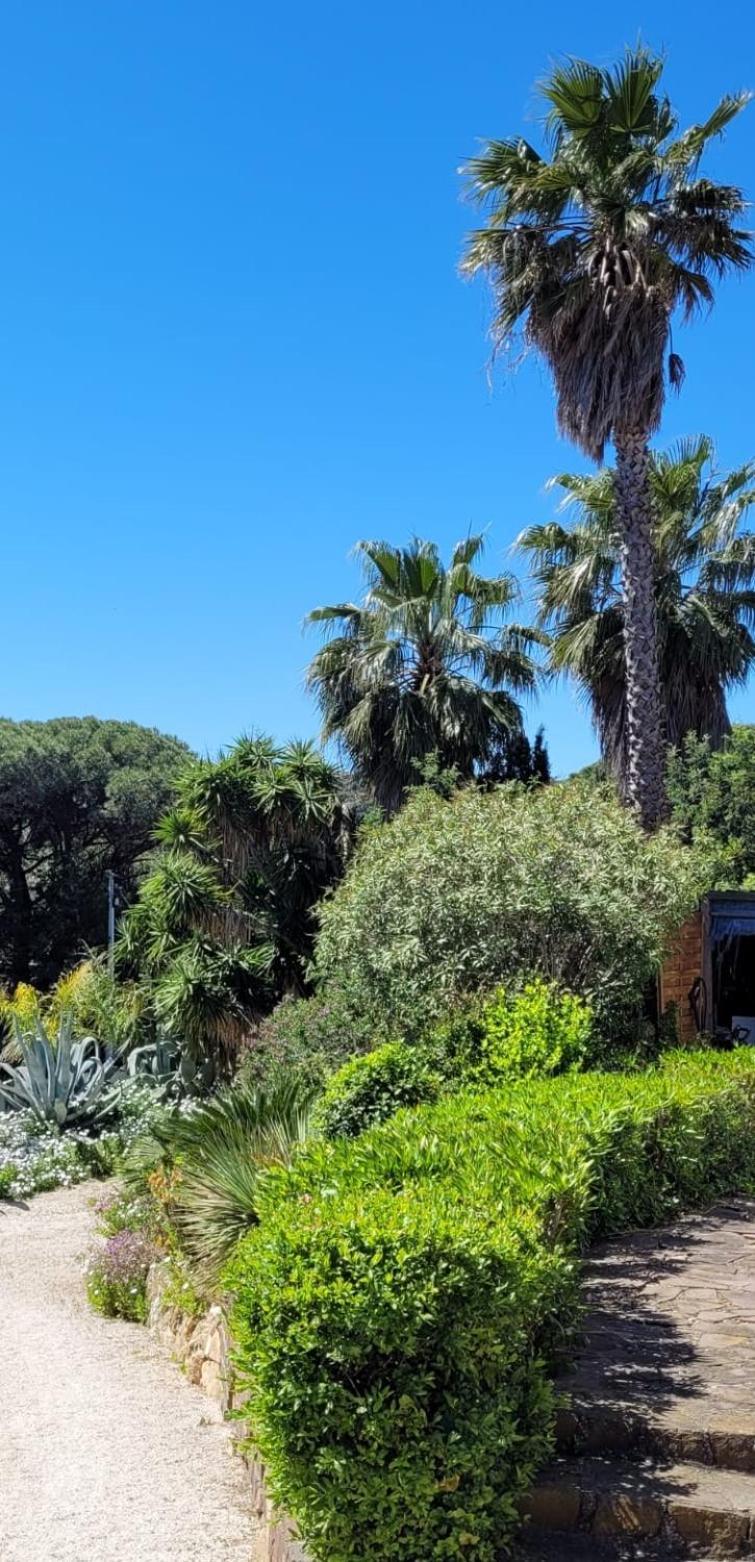 Villa Palm' Issambres 6-7 Personnes, Clim, Avec Piscine, Jardin Et Parking Prives La Garonnette-Plage Kültér fotó